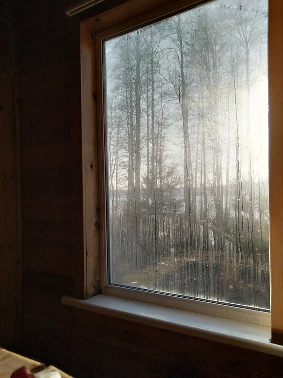 Фото из отзыва от 07.03.2025