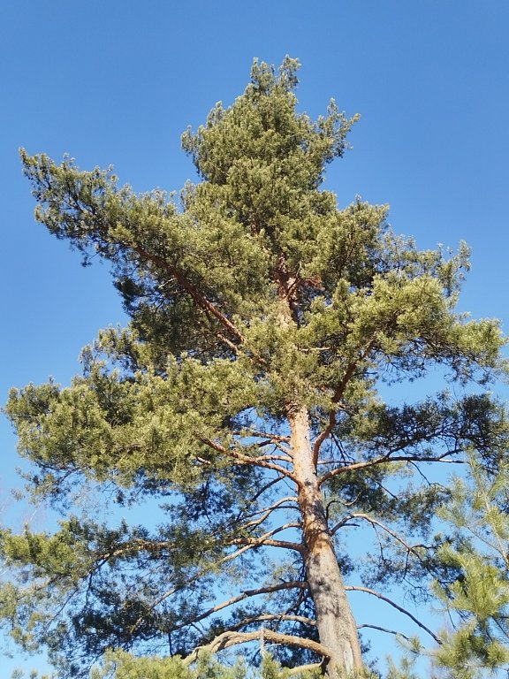 Фото из отзыва от 07.03.2025