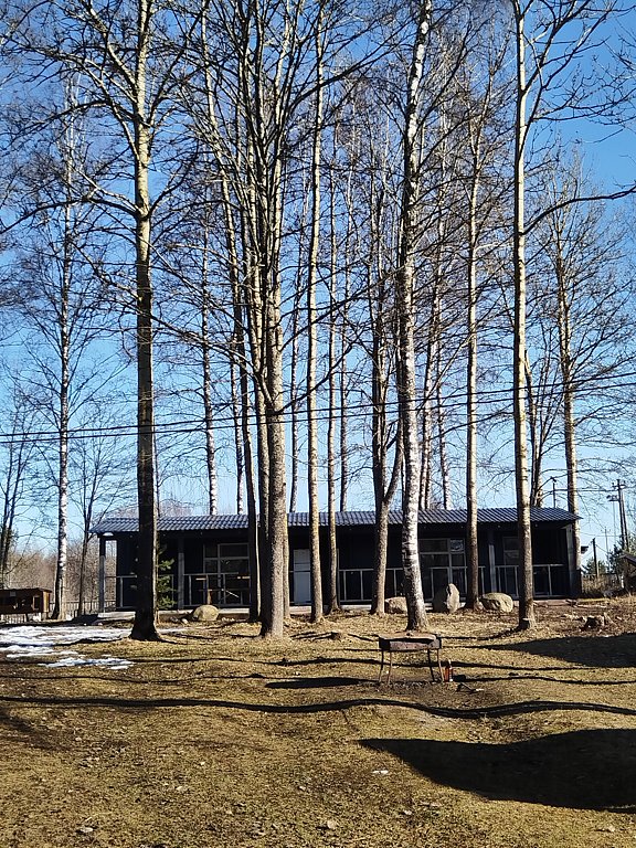 Фото из отзыва от 07.03.2025