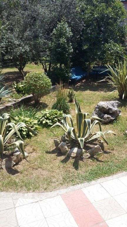 Частный дом Dali, Гагрский район: фото 5