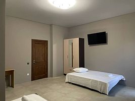 Двухместный люкс с балконом и с видом на горы двуспальная кровать, Частный дом Maximus, Гагра