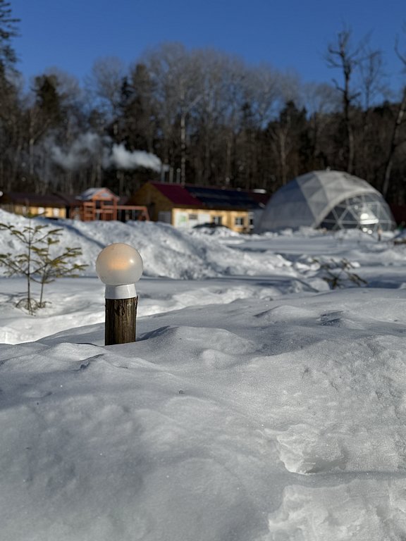 Фото из отзыва от 07.03.2025