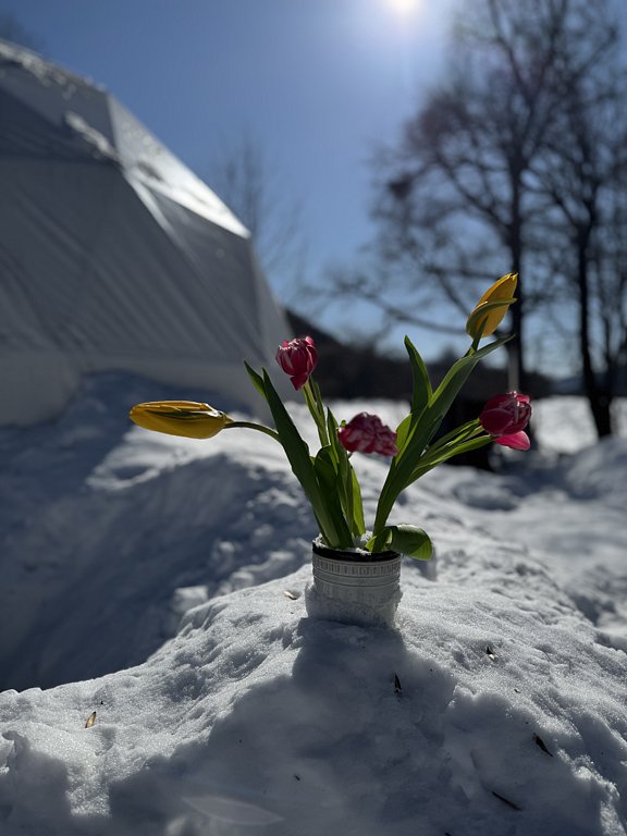 Фото из отзыва от 07.03.2025