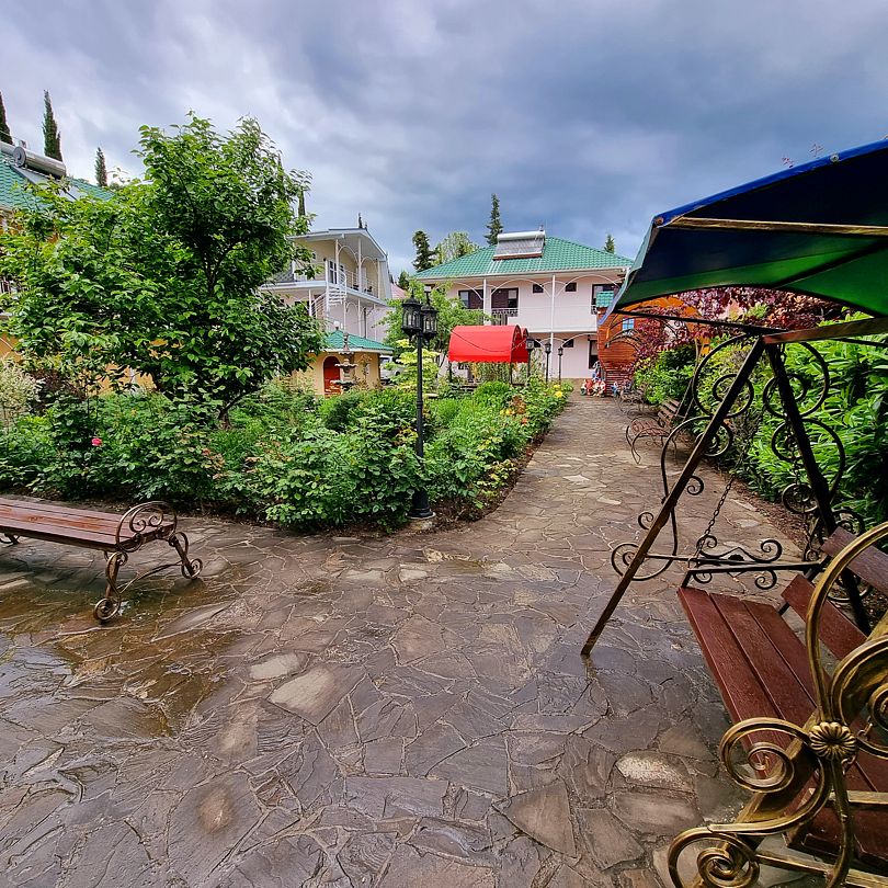 Орхидея, Крым: фото 5