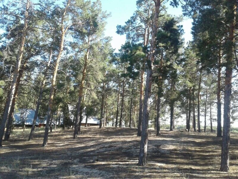 Место отдыха Берлога, Волгоградская область: фото 5