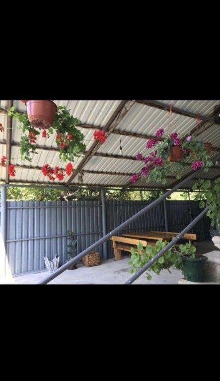 Частный дом С Садом, Гагрский район: фото 3