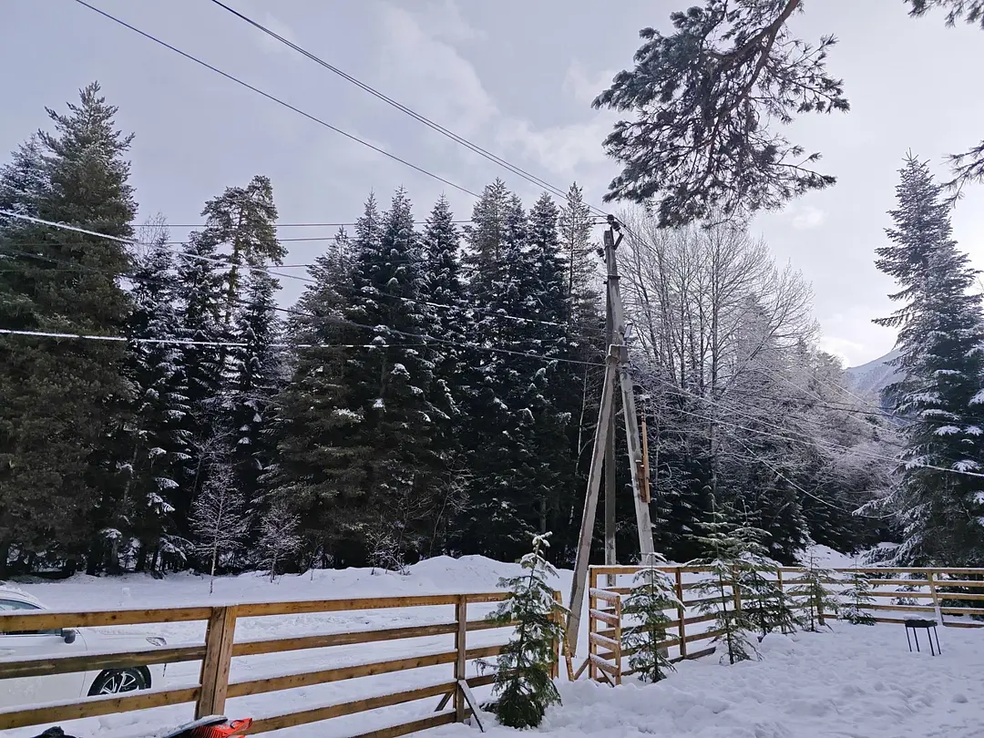 Greenhouse 1599, Республика Карачаево-Черкесия: фото 4