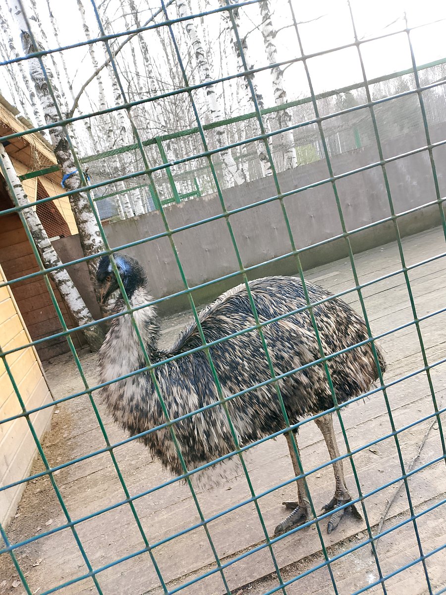 Фото 1 из отзыва о парк-отеле Фестиваль