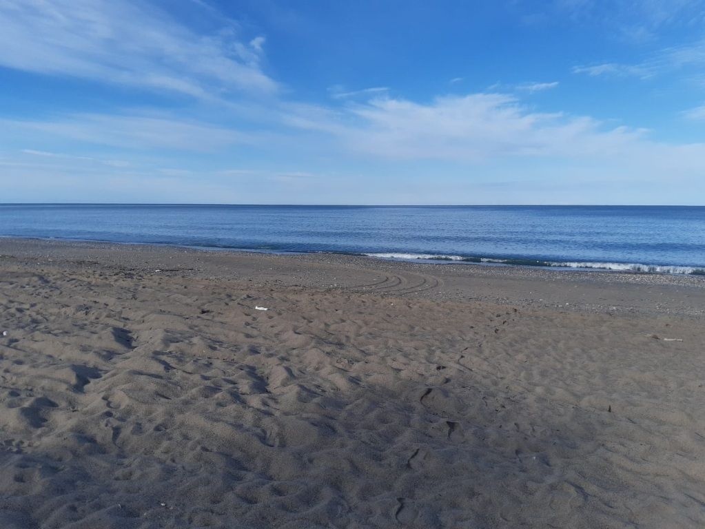 Гостевой дом У Эммы, Сухумский район: фото 5