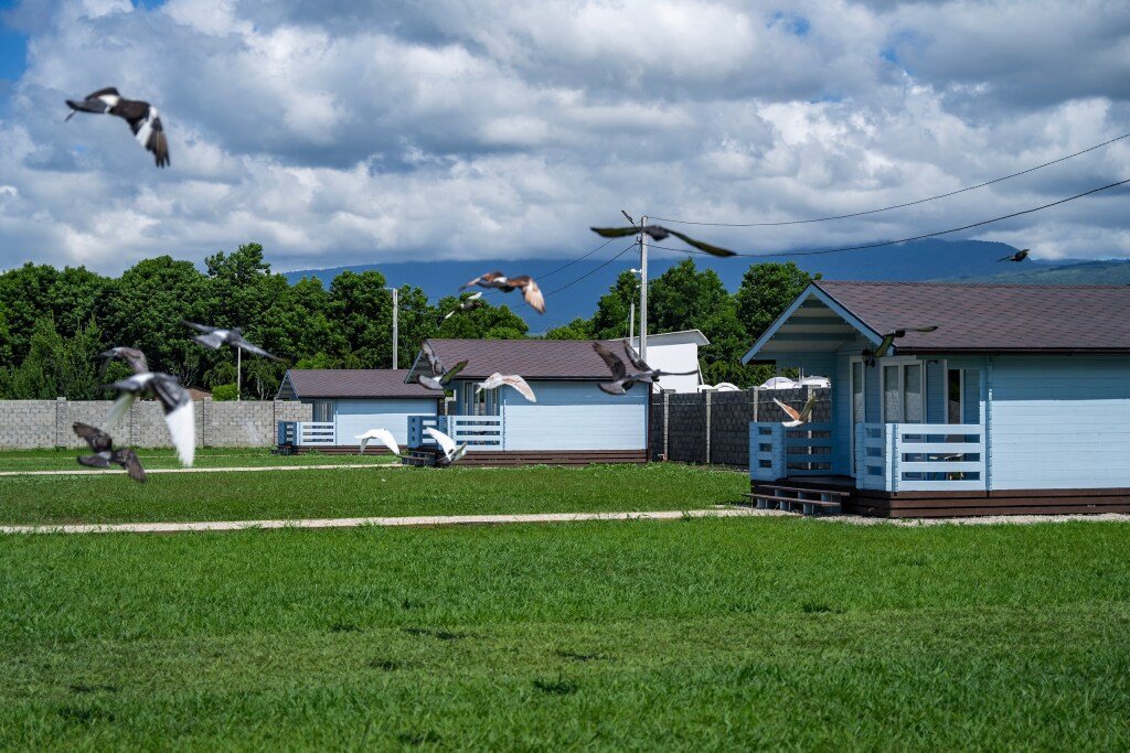 Гостевой дом Sea village Gumista, Сухумский район, Сухум , Абхазия