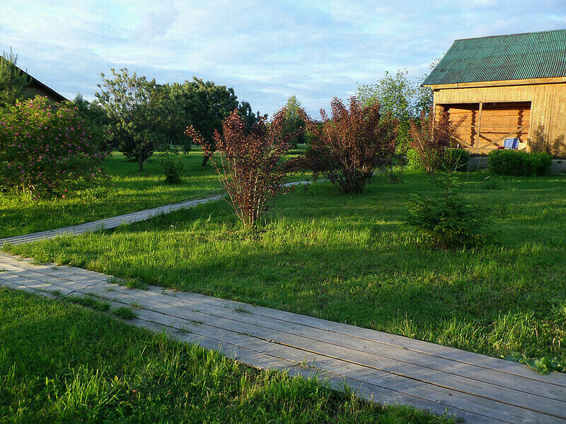 Ершиха, Ивановская область: фото 2