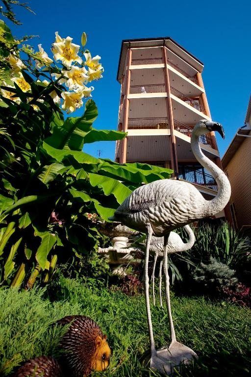 Гостевой дом Фламинго, Анапа, Краснодарский край