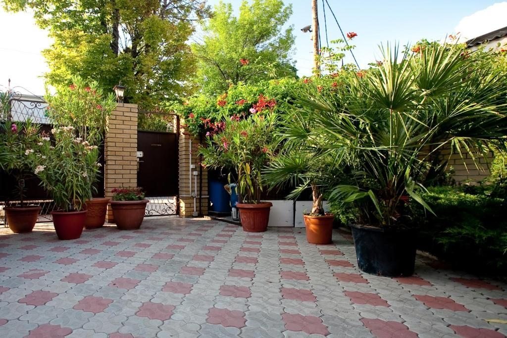 Фламинго, Краснодарский край: фото 3