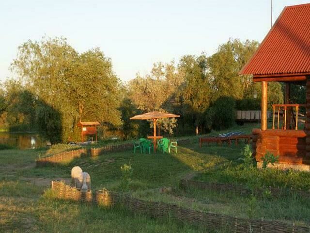 Тихая радость, Астраханская область: фото 4