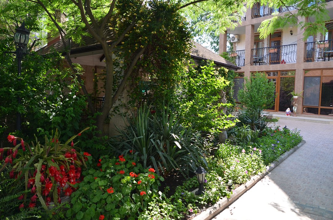 Орхидея, Крым: фото 3