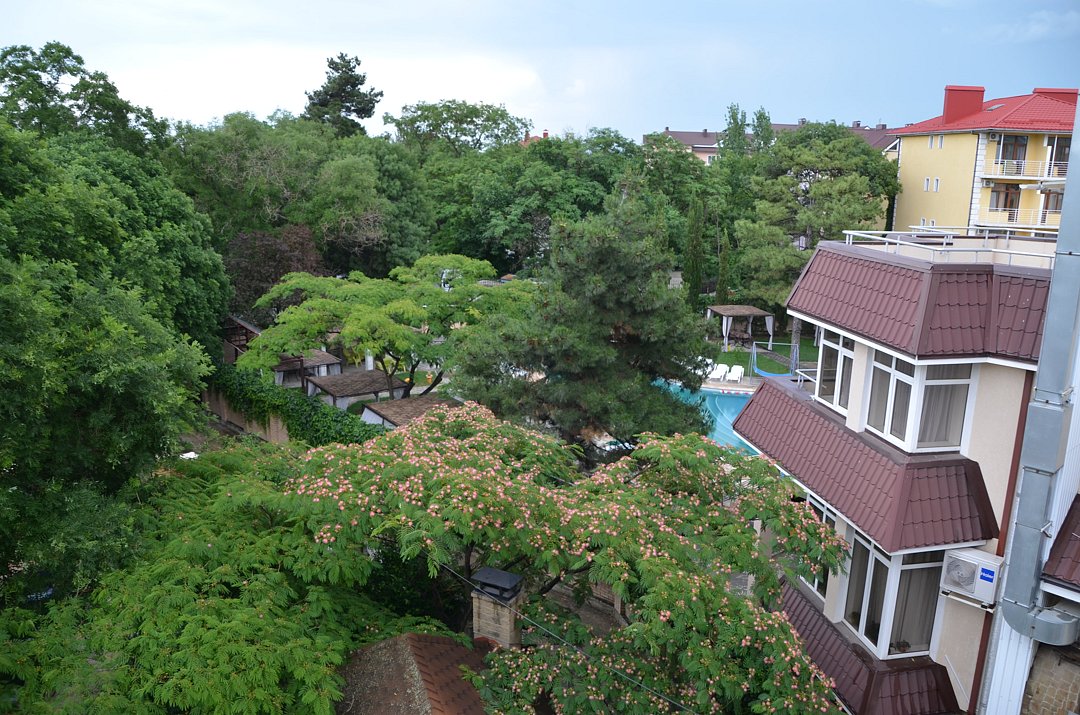 Орхидея, Крым: фото 2