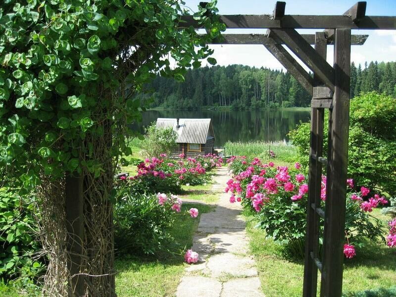 Домик у озера, Новгородская область: фото 4