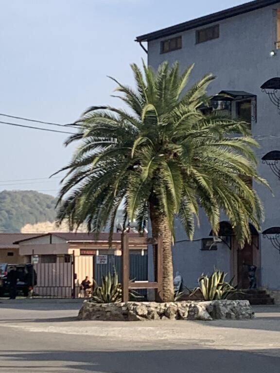 Riviera, Гагрский район: фото 5