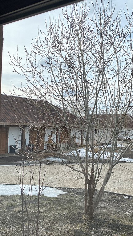 Фото из отзыва от 15.03.2025