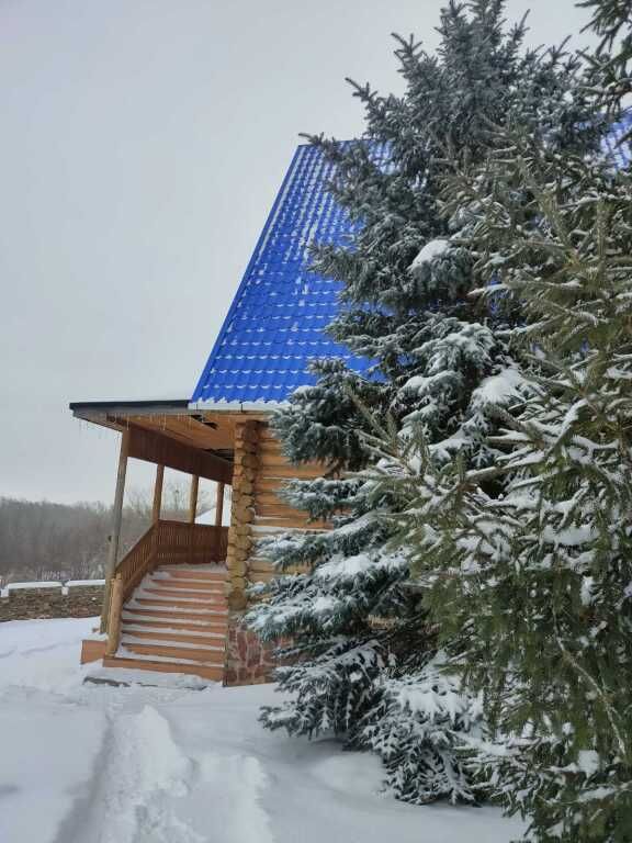 Кизил, Челябинская область: фото 3