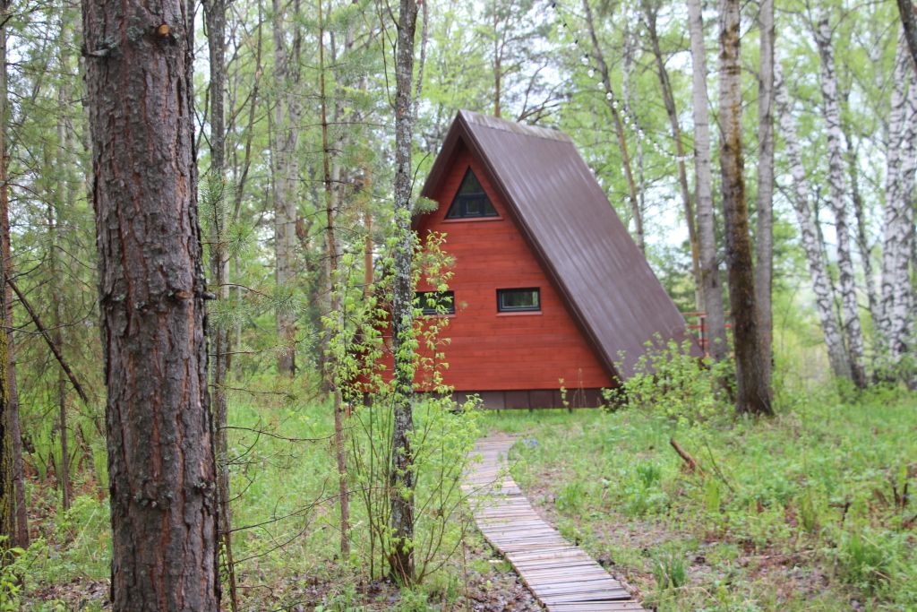 Калтай парк, Томская область: фото 3
