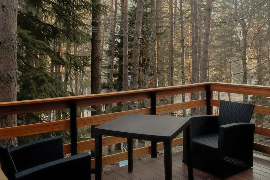 ДухЛеса, Республика Карачаево-Черкесия: фото 3