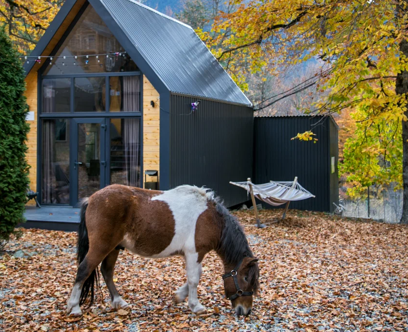 Woodvillas, Республика Карачаево-Черкесия: фото 4