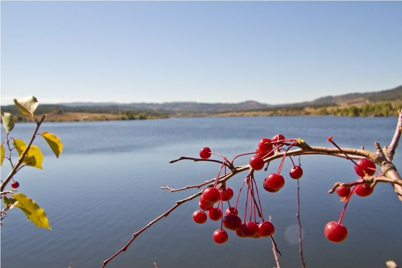 Кок-Тау, Восточно-Казахстанская область: фото 3