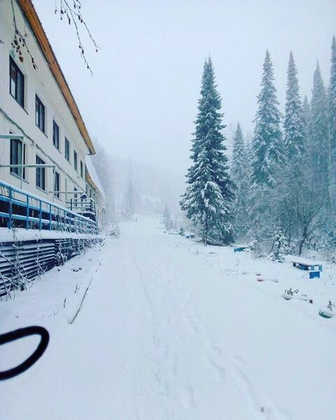 Алтайские Альпы, Восточно-Казахстанская область: фото 2