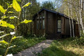 Домик «Лесной», Глэмпинг  В кронах, Дмитровский район