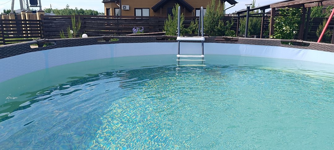 Веселый апельсин, Ленинградская область: фото 4