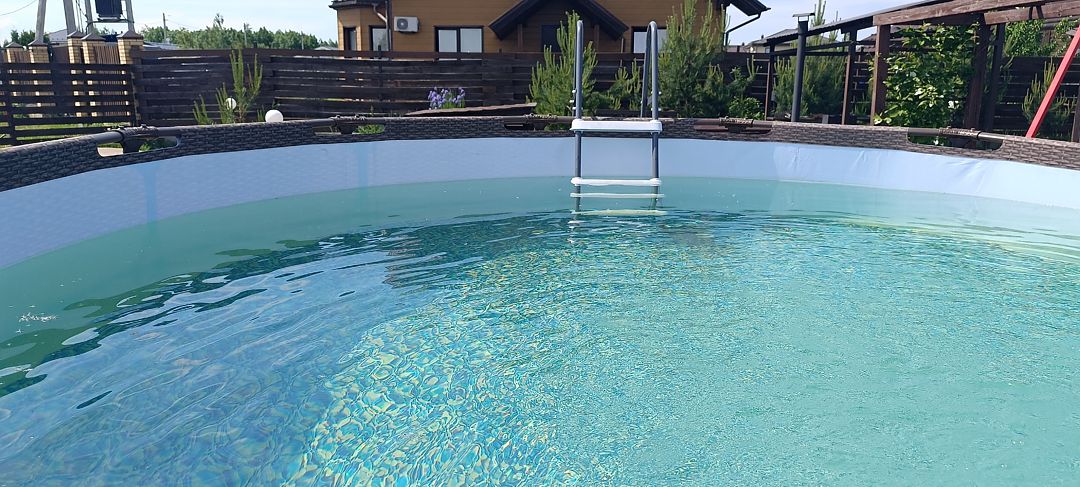 Веселый апельсин, Ленинградская область: фото 4