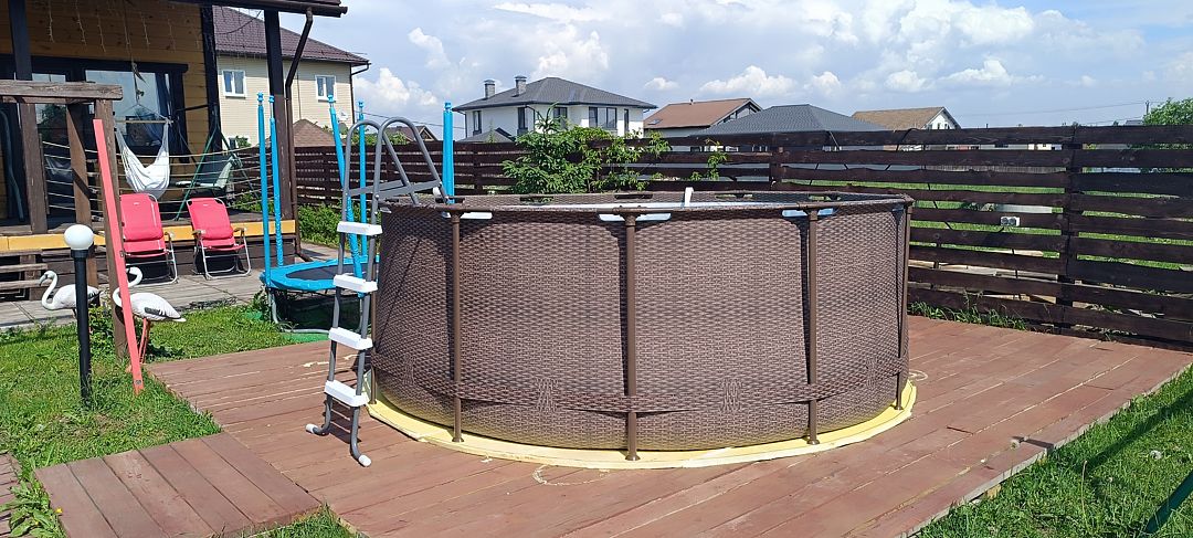 Веселый апельсин, Ленинградская область: фото 3