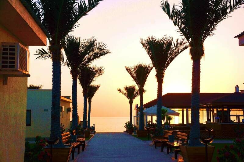 Tree of Life, Мангистауская область : фото 3