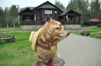 Усадьба Бобровая хата