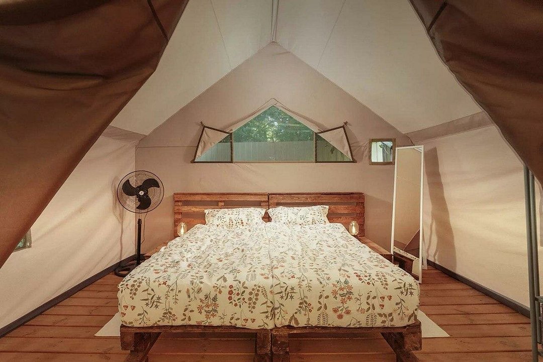 Южный Вайб Древо, Краснодарский край: фото 2