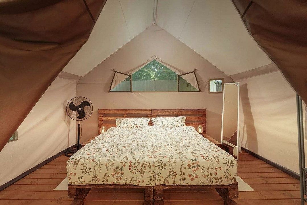 Южный Вайб Древо, Краснодарский край: фото 2