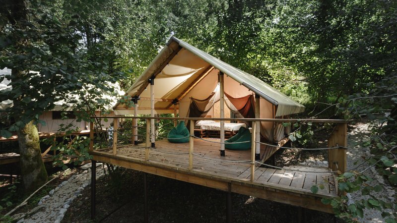 Южный Вайб Древо, Краснодарский край: фото 3