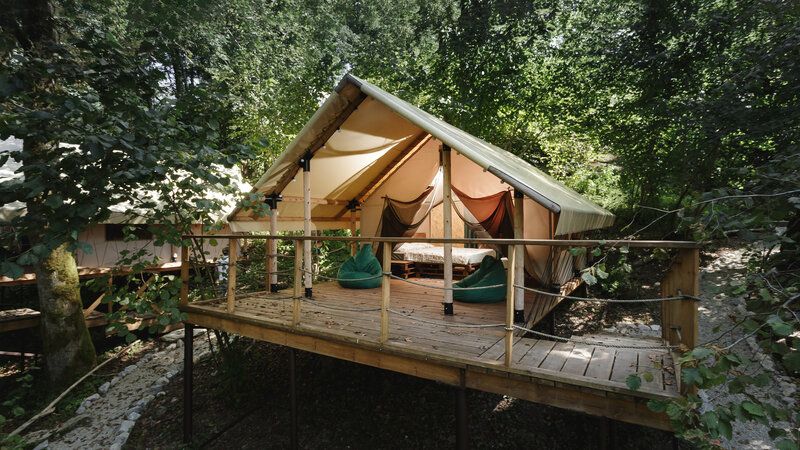 Южный Вайб Древо, Краснодарский край: фото 3