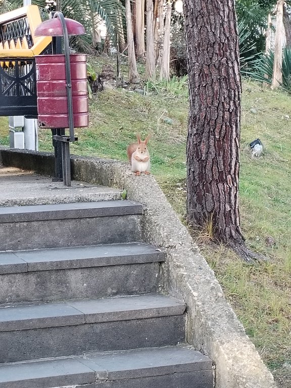 Фото из отзыва от 10.03.2025