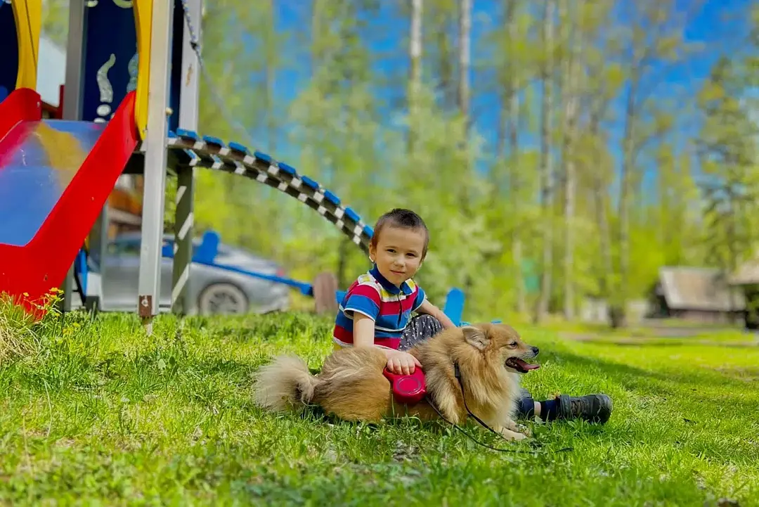 Иверия, Алтайский край: фото 4