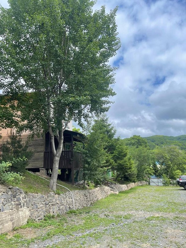 Солнечная, Приморский край: фото 3