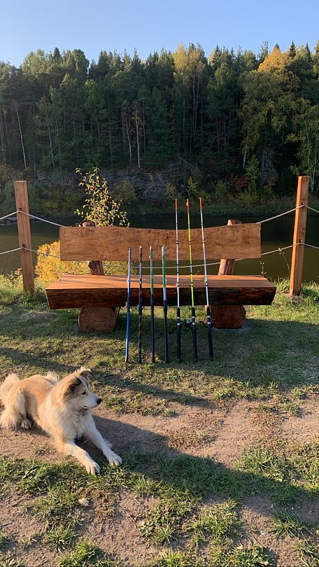 Яблоневый сад, Свердловская область: фото 5