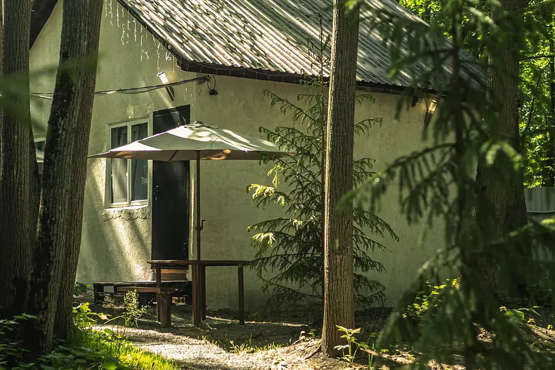 Монте Карло, Республика Татарстан: фото 3