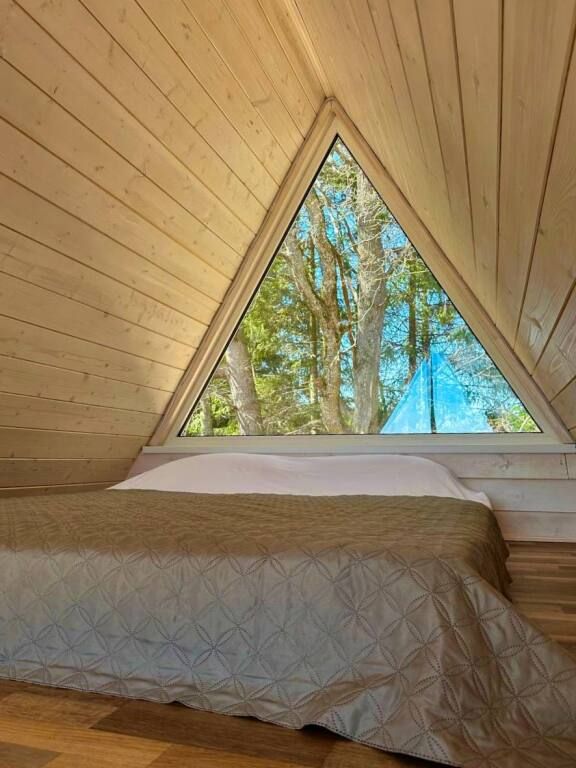 Домики A-frame С Чаном или Купелью-Фурако, Калужская область: фото 3