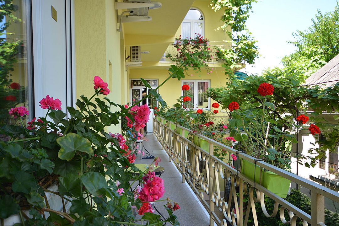 Уют, Краснодарский край: фото 4