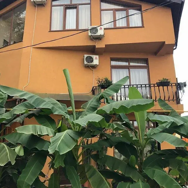 на Черноморской 2, Краснодарский край: фото 4