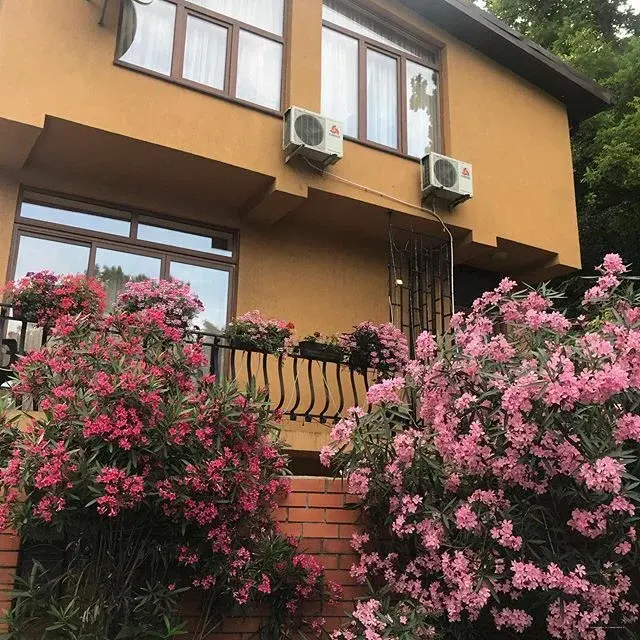 на Черноморской 2, Краснодарский край: фото 3