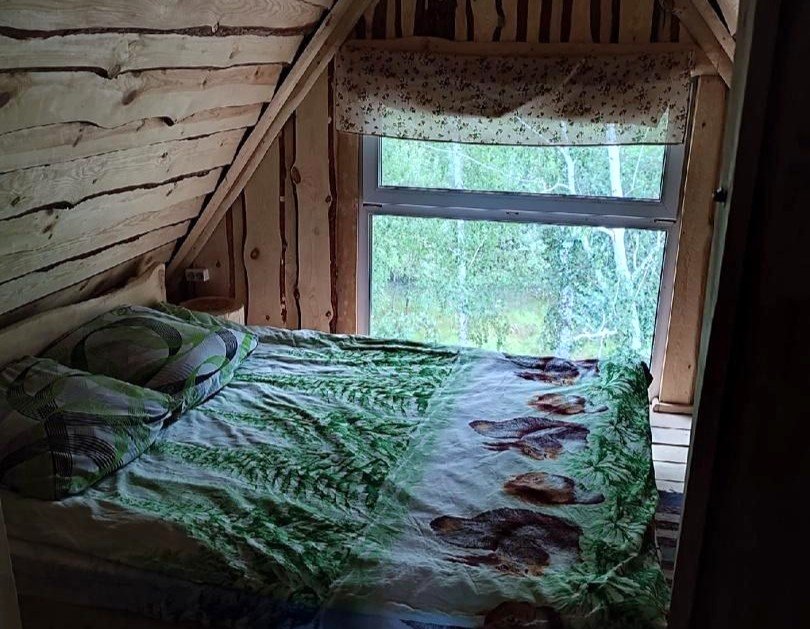 Дом 20-местный (для мероприятий)