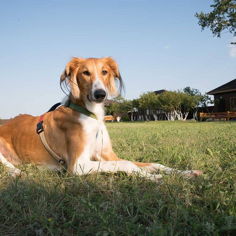 Zerenda Park, Акмолинская область: фото 3